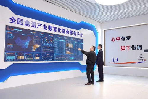 蛋生數(shù)智夢，科技孵未來 金融賦能農(nóng)業(yè)科技蝶變